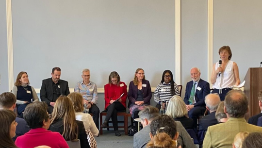 Orygen-led call to action goes global as Lancet launches in London ...